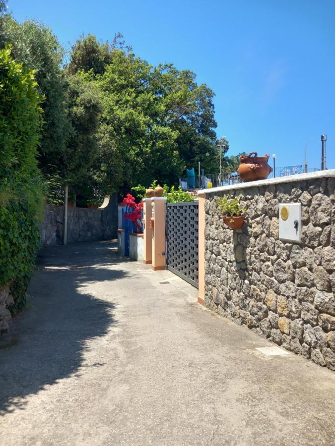 Villetta Panoramica Forio  Bagian luar foto