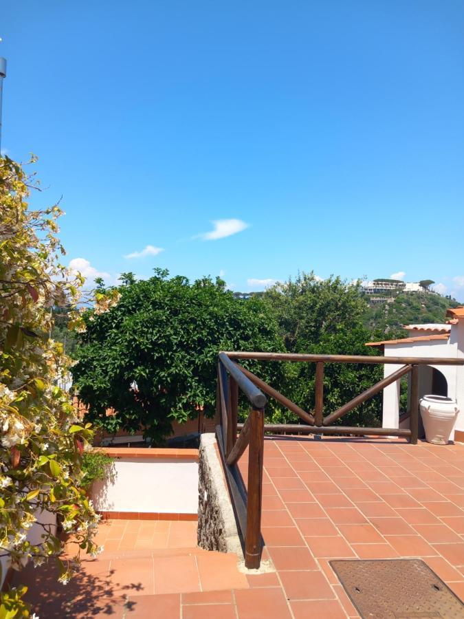 Villetta Panoramica Forio  Bagian luar foto